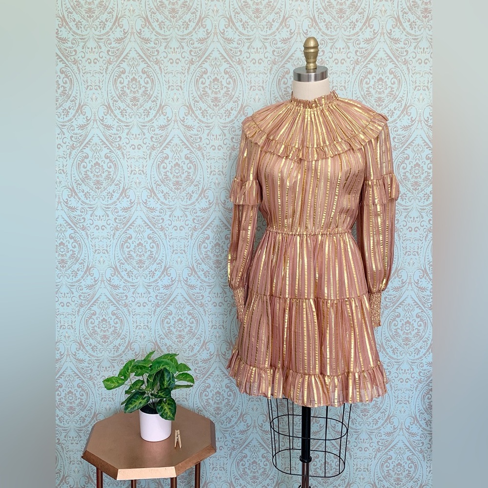 NEW Ulla Johnson Gold Striped Blush Peach Mini Dress Size 2